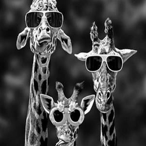 Meet your Posher, Colleen